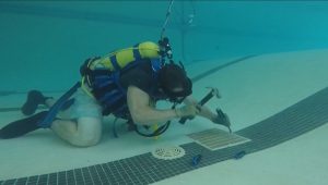 Swimming Pool Repair Companies