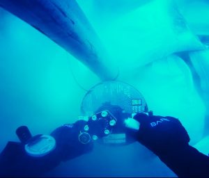 Underwater Services Kelowna